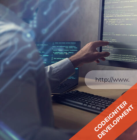 Codeigniter Web Development