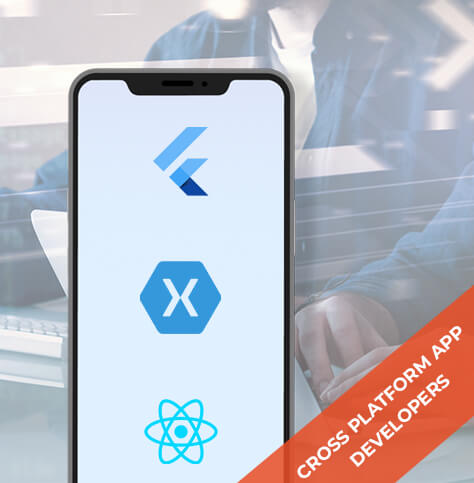 Hire Cross Platform App Developers